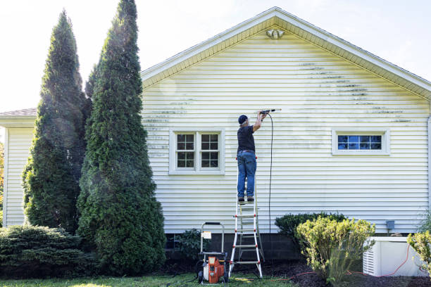 Animal Enclosure Cleaning in Whitfield, FL